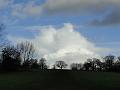 2014-0128-1210_Morden_Park_9C